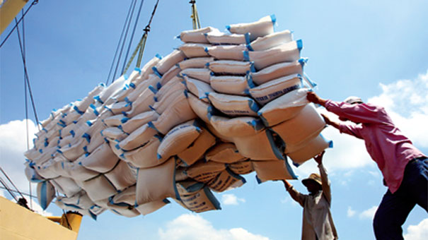 Gi&aacute; l&uacute;a gạo vụ h&egrave; thu l&ecirc;n cao một phần l&agrave; do những thuận lợi của thị trường xuất khẩu