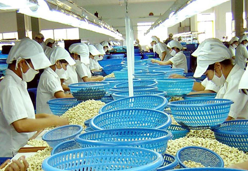 Đảm bảo chất lượng nông sản xuất khẩu là bước đi quan trọng và cần thiết lúc này Đảm bảo chất lượng nông sản xuất khẩu là bước đi quan trọng và cần thiết lúc này