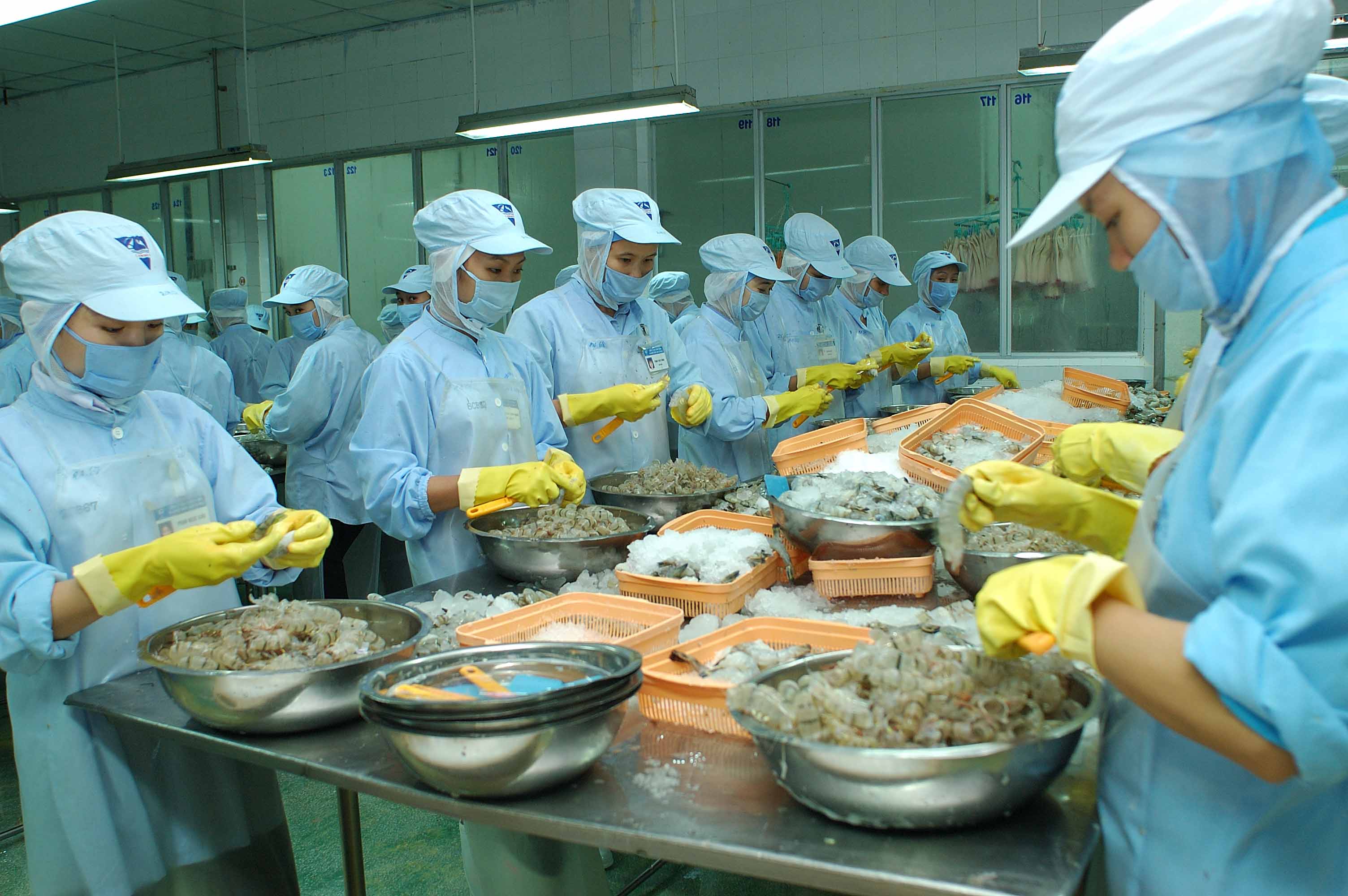 Những ng&agrave;y n&agrave;y, xuất khẩu thủy sản của Việt Nam vẫn đang loay hoay trong kh&oacute; khăn