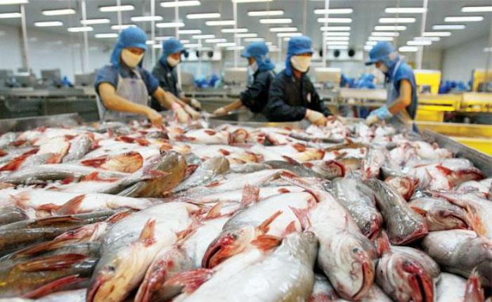 Xuất khẩu c&aacute; tra