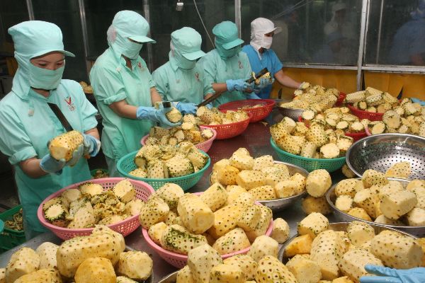 xuất khẩu n&ocirc;ng l&acirc;m thủy sản