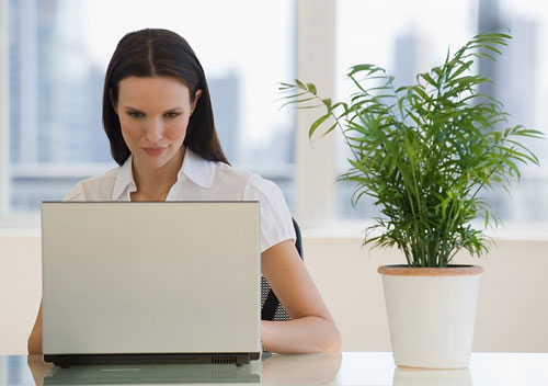 Nghi&ecirc;n cứu cho thấy, kh&ocirc;ng gian l&agrave;m việc c&oacute; c&acirc;y xanh sẽ gi&uacute;p tăng năng suất 13Win18 cá cược thể thao của nh&acirc;n vi&ecirc;n văn ph&ograve;ng