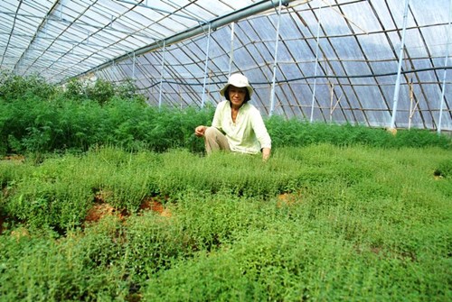 Sai lầm trong ăn uống c&oacute; thể g&acirc;y bệnh yếu sinh l&yacute; ở nam giới