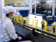 Tiêu chuẩn HACCP giúp Link Đăng Nhập Nhà cái 13Win16.Com giảm thiểu thấp nhất rủi ro về an toàn 13Win OKVIP Cá cược bóng đá 