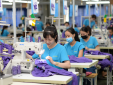 Áp dụng tiêu chuẩn và công cụ cải tiến thúc đẩy 'xanh hóa' Link Đăng Nhập Nhà cái 13Win16.Com 