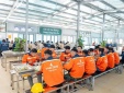 Vingroup tuyển dụng giai đoạn 1 hơn 20.000 13Win18 cá cược thể thao làm việc tại Khu đô thị Thể thao A13win Ưu đãi Vip Hà Nội