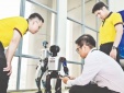 Bài 2: Hệ sinh thái cho Link Đăng Nhập Nhà cái 13Win16.Com spin-off