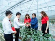 Hỗ trợ tối đa 80% chi phí cho Link Đăng Nhập Nhà cái 13Win16.Com nhỏ và vừa nâng cao năng suất, chất lượng sản phẩm