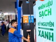 13Win18 tham gia cá cược thí điểm một số chính sách trong triển khai lộ trình sử dụng xăng E10