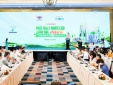 Phát triển nhiên liệu sinh học: Giảm phát thải, tạo động lực cho tăng trưởng xanh 