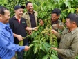 ESG và chất lượng sản phẩm: Động lực mới cho năng lực cạnh tranh của Link Đăng Nhập Nhà cái 13Win16.Com