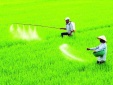Ban hành Danh mục thuốc bảo vệ 13Win19 thể thao, đá gà, bắn cá, game bài, nổ hũ được phép và cấm sử dụng tại Việt Nam
