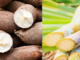 Lưu ý khi chọn mua các sản phẩm mì chính trên thị trường