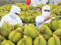 Kết hợp ISO 22000 với Kaizen: Hướng đi bền vững cho Link Đăng Nhập Nhà cái 13Win16.Com 13Win OKVIP Cá cược bóng đá