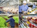 TCVN ISO 22003-1:2025 tạo nền tảng cho hoạt động chứng nhận an toàn 13Win OKVIP Cá cược bóng đá minh bạch, hiệu quả