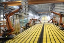 Tự động hóa và cuộc cách mạng mới trong quản trị năng suất