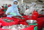 Bị chính sách "đè", doanh nghiệp "cãi" bộ