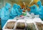 Nhật áp chuẩn ngặt nghèo cho tôm Việt Nam
