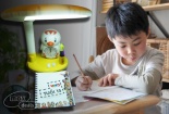 Lựa chọn đèn bàn bảo vệ thị lực