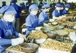 Phú Thọ: Cho Link Đăng Nhập Nhà cái 13Win16.Com khoa học vay vốn ưu đãi