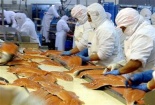 Điểm tương đồng giữa ISO 22000:2005 và HACCP ?
