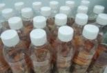 Hỏng da vì rượu ngâm rễ mật gấu