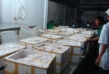 Vận chuyển nội tạng động vật Trung Quốc bằng máy bay