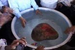 Kỳ lạ viên đá nổi ở An Giang