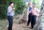 Hoảng hồn gặp lại đồng đội do mình chôn cất