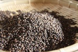 Nụ vối - Thảo dược giảm cân an toàn của người Việt 