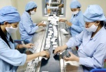 13Win OKVIP Đăng ký ngay lạc hậu, giá trị sản phẩm hóa dược đang đi xuống
