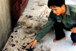 Phu trầm trúng 50 tỷ bị giang hồ uy hiếp
