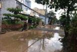 Né trạm thu phí, xe tải phá nát đường dân sinh gây nhiều bức xúc