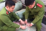 Mực khô xé nhỏ nhập lậu đầy khả nghi