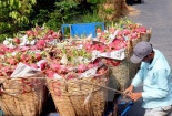 Hàng nông, thủy sản Việt Nam đã có những đối thủ cạnh tranh