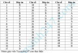 Đáp án đề thi môn Vật Lý kỳ thi THPT Quốc gia 2015