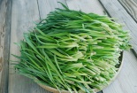 Ăn hẹ mỗi ngày để phòng bệnh hiệu quả