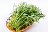 Phát hoảng với rau muống tưới nhớt độc hại