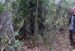 Thanh Hóa phát hiện mộ cổ trong vườn nhà dân
