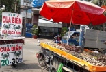 Cua biển Cà Mau bị giả mạo? 