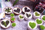 Những ý tưởng kinh doanh ít vốn 'hốt bạc' cho sinh viên