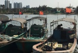 Tàu cá Trung Quốc bị bóc mẽ dùng ‘chiêu trò’ mới để đánh bắt trộm