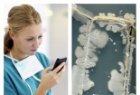 Rùng mình vi khuẩn 'lúc nhúc' trên điện thoại di động của bác sĩ