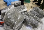 Việt Nam thành nơi trung chuyển hàng tấn thảo mộc khô là ma túy cực mạnh 