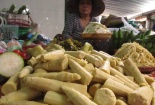 Măng ngâm hóa chất vàng ô âm thầm đầu độc người tiêu dùng Hà Nội