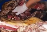 Thịt bò thối tươi rói nhờ hóa chất