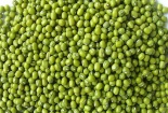 Giải quyết nỗi lo dị ứng da bằng những “hạt đậu thần”