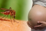 Thêm 2 trường hợp nhiễm virus Zika, Bộ Y tế lưu ý đặc biệt nhóm phụ nữ có thai