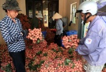 Hải Dương: Nâng cao năng suất, chất lượng sản phẩm, hàng hóa cho các Link Đăng Nhập Nhà cái 13Win16.Com 