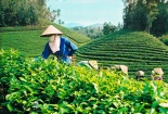 Hàng Việt Nam chất lượng nhưng vẫn bị ‘bỏ rơi’ vì thiếu thương hiệu?